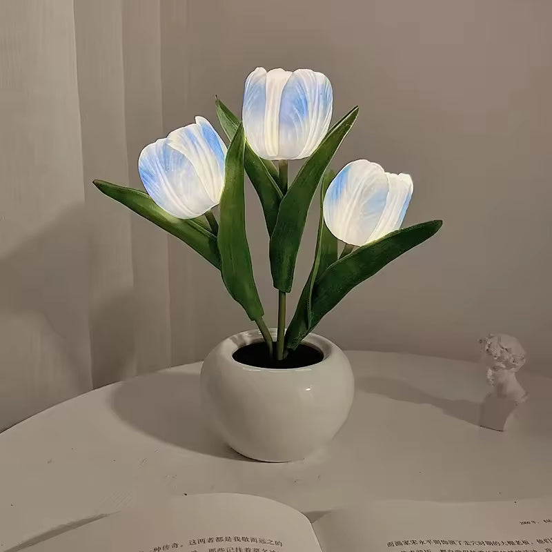 Glowing Tulips