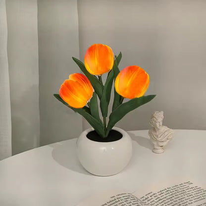 Glowing Tulips