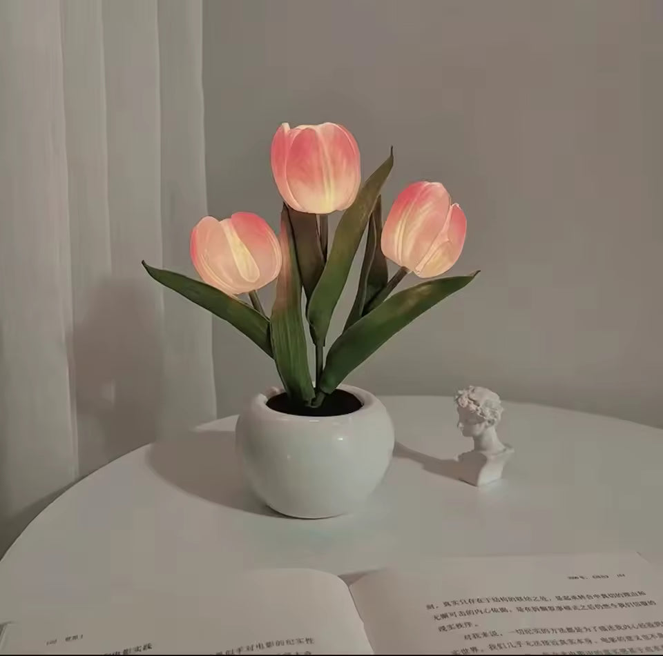Glowing Tulips