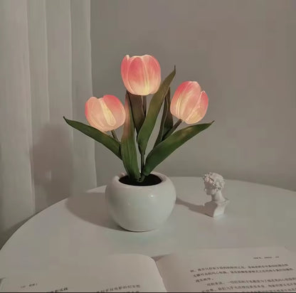 Glowing Tulips