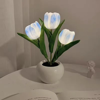 Glowing Tulips
