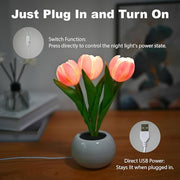 Glowing Tulips