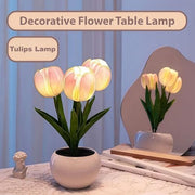 Glowing Tulips