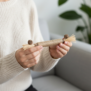 PurrTwig™ – Natural Dental Chew Sticks