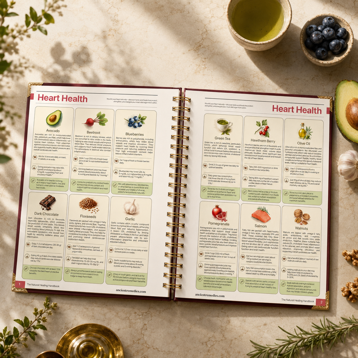Natural Healing Handbook