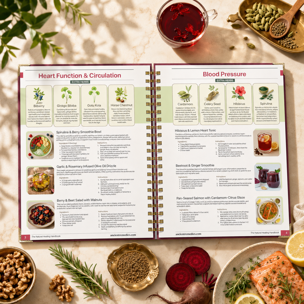 Natural Healing Handbook