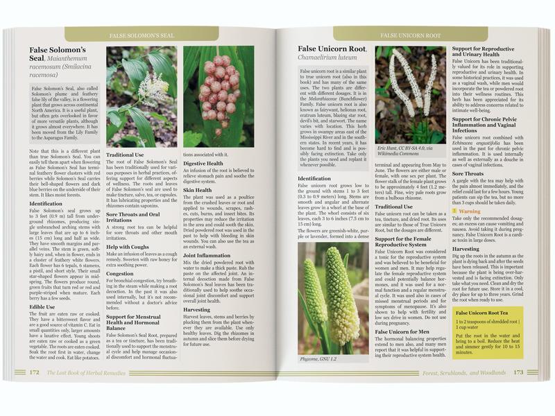 Forgotten Guide to Plant Remedies