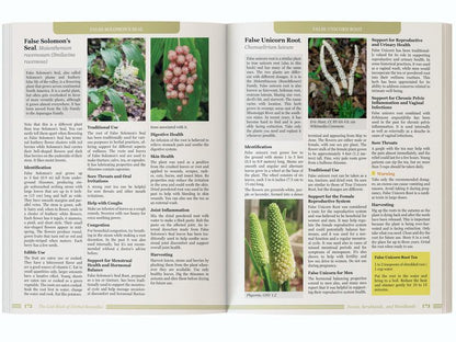 Forgotten Guide to Plant Remedies