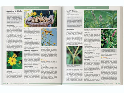 Forgotten Guide to Plant Remedies