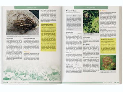 Forgotten Guide to Plant Remedies
