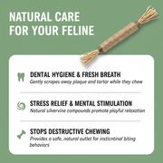 PurrTwig™ – Natural Dental Chew Sticks
